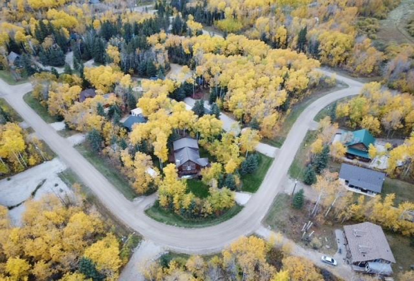 GORGEOUS AERIAL SHOT OF THE AREA! TONS OF BEAUTIFUL MATURE TREES GIVING YOU PLENTY OF PRIVACY!