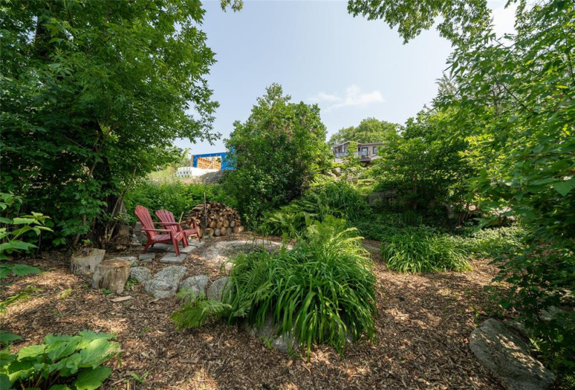 Fire pit area amongst the tress.