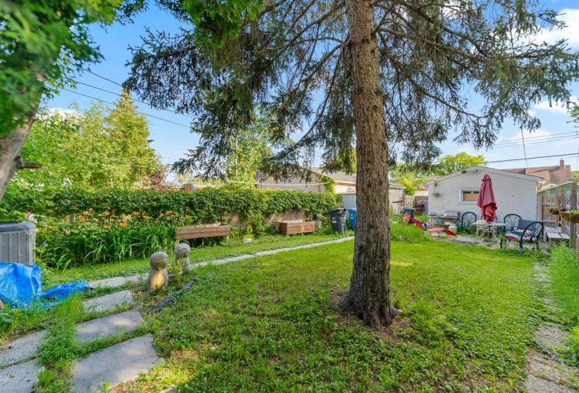 Spacious backyard to enjoy!