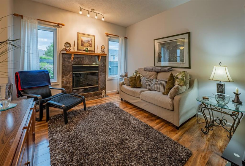 FAMILY ROOM WITH COZY FIRE PLACE