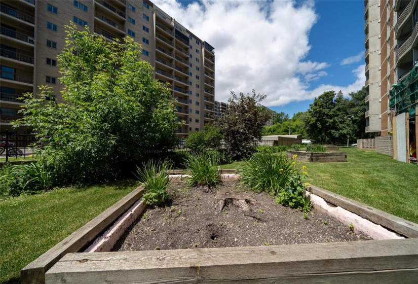 Space for you to grow your own tomatoes in the communal planters.