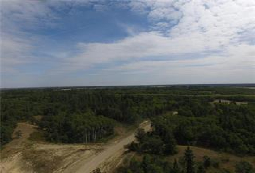 ANOTHER BEAUTIFUL AERIAL SHOT OF THE AREA. AN ABUNDANCE OF MATURE SPRUCE, POPLAR & OAK TREES! PLENTY TO DO AND EXPLORE IN NATURE HERE! KNOWN TO HAVE MANY DIFFERENT TYPES OF WILDLIFE INCLUDING ELK, DEER, WILD TURKEYS & EAGLES! THIS IS AN OUTDOORSMAN'S DREAM! THESE LOTS WON'T LAST LONG - CALL NOW FOR MORE INFO!