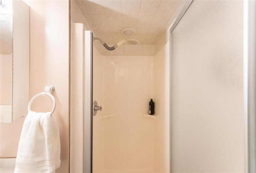 Basement shower